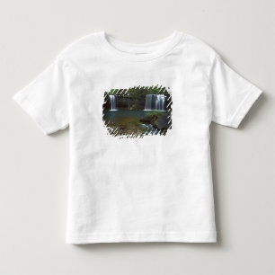 T-shirts EUA, Arkansas, Ozark- St Francis Nacional