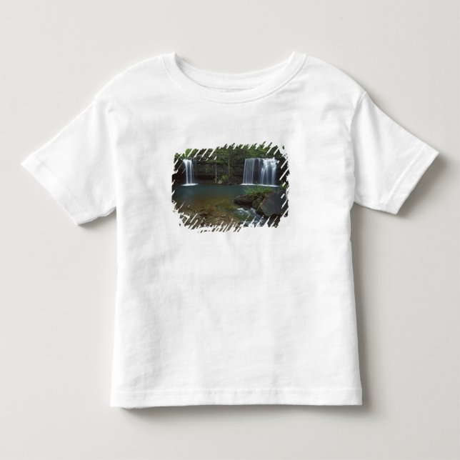 T-shirts EUA, Arkansas, Ozark- St Francis Nacional (Frente)