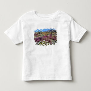 T-shirts EUA, Califórnia, Anza-Borrego DSP. Duna ao anoitec