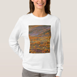 T-shirts EUA, Califórnia, Montanhas Tehachapi, 2
