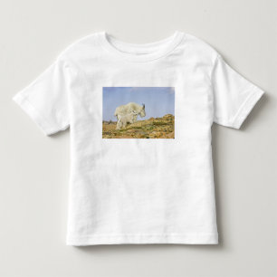 T-shirts EUA, Colorado, Montanhas Rochosas, Monte Evans,