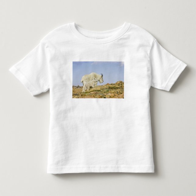T-shirts EUA, Colorado, Montanhas Rochosas, Monte Evans, (Frente)