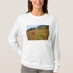 T-shirts EUA, Colorado, San Juan National Forest, ao longo