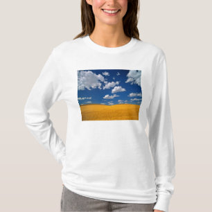 T-shirts EUA, Estado de Washington, Colfax. Cevada madura e