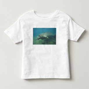 T-shirts EUA, FL, Manatee