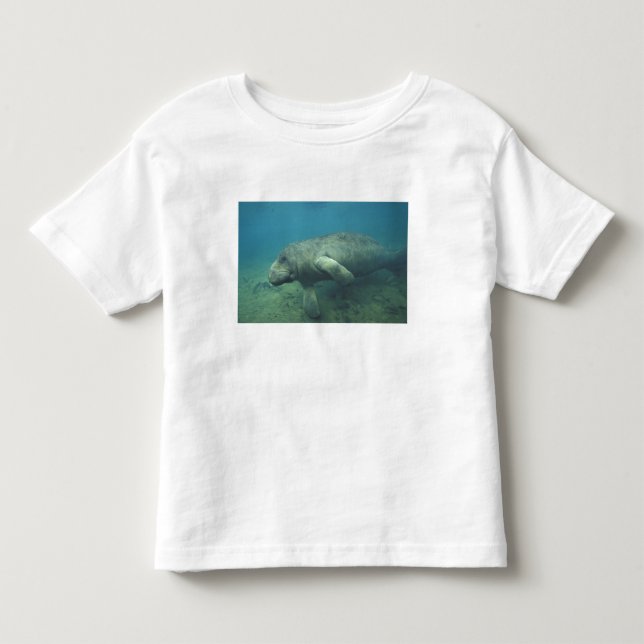 T-shirts EUA, FL, Manatee (Frente)
