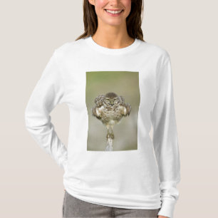 T-shirts EUA, Flórida, Cabo Coral, Fechamento da toca