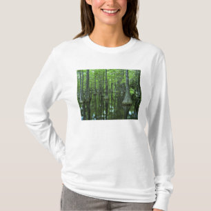 T-shirts EUA, Flórida, Floresta Nacional Apalachicola, Care