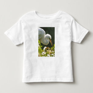 T-shirts EUA, Flórida, St. Augustine, Fazenda de jacarés