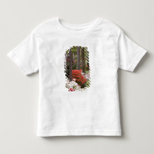 T-shirts EUA, Geórgia, Pine Mountain. Uma floresta de