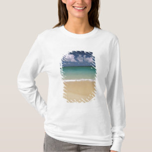 T-shirts EUA, Havaí. Cena de praia
