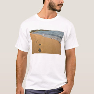 T-shirts EUA, Havaí, Kauai, Kapa'a, frente à praia. RF)
