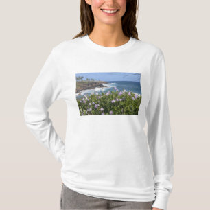 T-shirts EUA, Havaí, Kauai, perto de Kapaa, noroeste