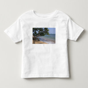 T-shirts EUA, Havaí, Kauai, praia cênica. RF)
