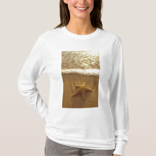 T-shirts EUA, Havaí, Maui, Maui, Kihei, Starfish e