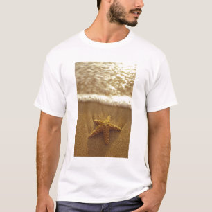 T-shirts EUA, Havaí, Maui, Maui, Kihei, Starfish e