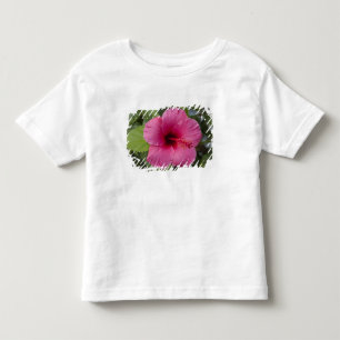 T-shirts EUA, Havaí, Oahu. O Hibisco é o 2