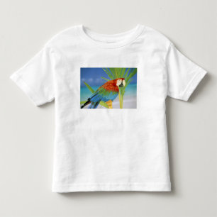 T-shirts EUA, Havaí. Papagaio