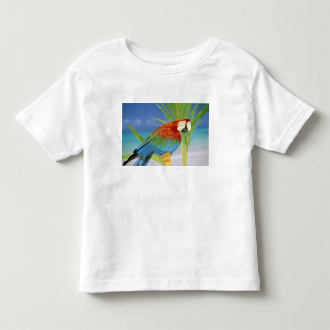 T-shirts EUA, Havaí. Papagaio (Frente)