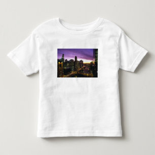 T-shirts EUA, IL, Chicago. Horizonte e rio de Chicago