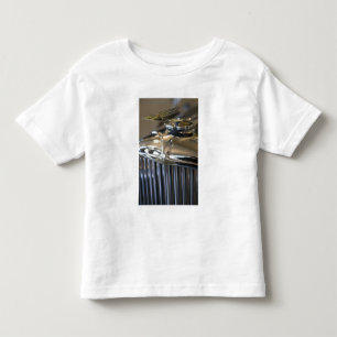 T-shirts EUA, Indiana, Auburn: Auburn, Cord, Duesenberg 5