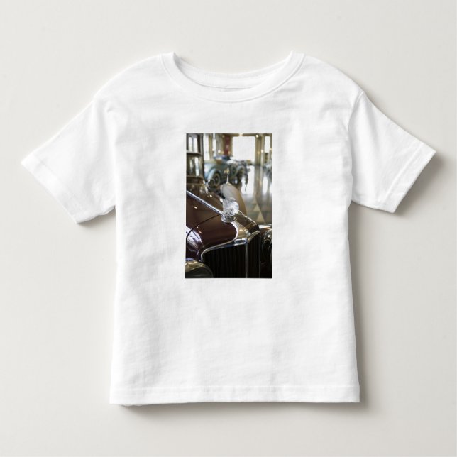 T-shirts EUA, Indiana, castanho-aloirado: (Frente)