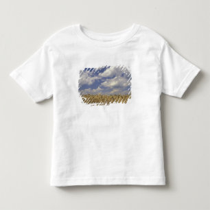 T-shirts EUA, Kentucky, Louisville. Cultura de trigo e
