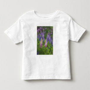 T-shirts EUA, Maine, Southwest Harbor. Tainho em flor