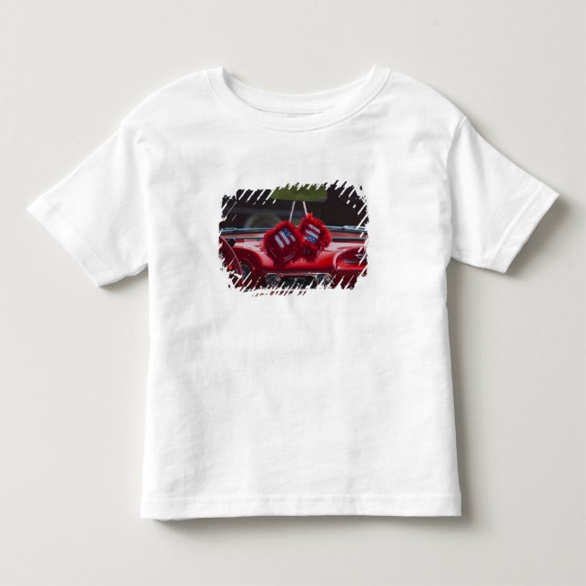 T-shirts EUA, Massachusetts, Gloucester. Dados fofos com (Frente)
