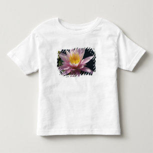 T-shirts EUA, Massachusetts, Great Barrington, folha de lír