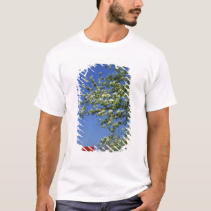 T-shirts EUA, Michigan, East Tawas. Farol de Tawas com