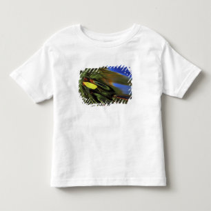 T-shirts EUA, Michigan, Folha de bétula no rio com outono