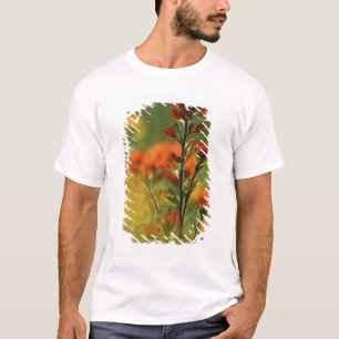 T-shirts EUA, Michigan, Ilha Drummond, Planícies Maxton,