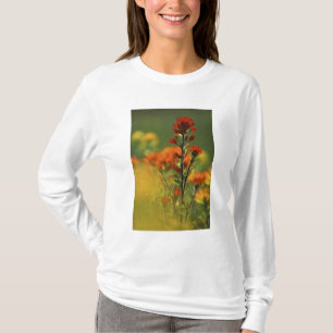 T-shirts EUA, Michigan, Ilha Drummond, Planícies Maxton,