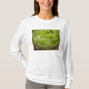 T-shirts EUA, Minnesota, Costa Norte do Lago Superior,