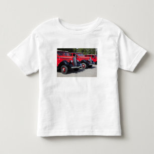 T-shirts EUA, Montana, East Glacier Park, porta de entrada