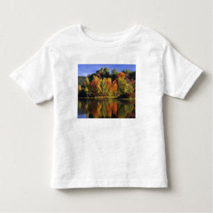 T-shirts EUA, New Hampshire, Moultonborough. Árvores em