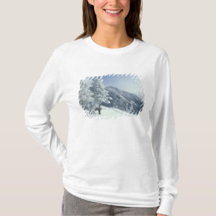 T-shirts EUA, NH, árvores cobertas de neve Trilhas Snoeshoe