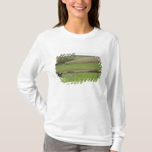 T-shirts EUA, nordeste de Ohio. Bugre Amish em fazenda