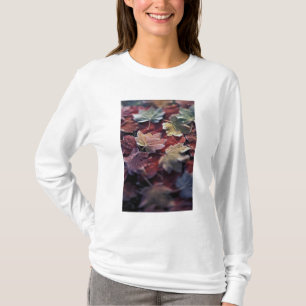 T-shirts EUA, Noroeste Pacífico. Folhas de bordo japonês
