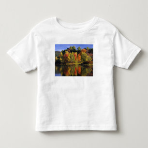 T-shirts EUA, Nova Hampshire, Moultonborough. Árvores em