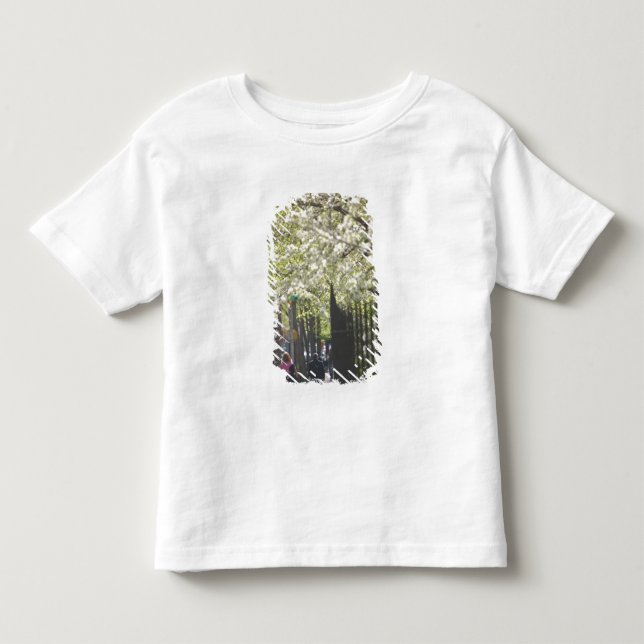 T-shirts EUA, Nova York, Cidade de Nova York, Manhattan: 8 (Frente)