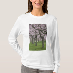 T-shirts EUA, Nova York, East Hampton. Cerejeiras em