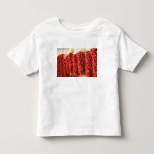 T-shirts EUA, Novo México, Santa Fé: Centro de Santa Fé, 3