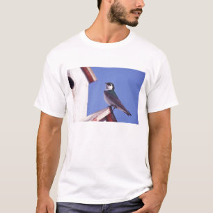 T-shirts EUA, Oregon. Andorinha-de-dorso-verde Tachycineta