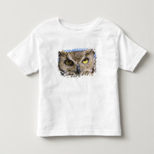 T-shirts EUA, Oregon, Bend. Os grandes bufos corujões são c