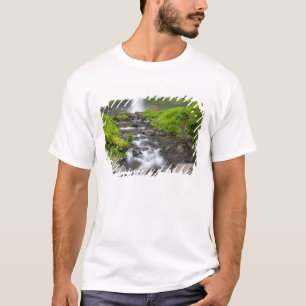 T-shirts EUA, Oregon, Columbia River Gorge, Latourell