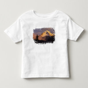 T-shirts EUA, Oregon, Floresta Nacional de Mt. Hood. Ondula