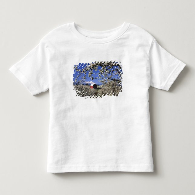T-shirts EUA, Oregon, Hood River Valley, Pomar de peras (Frente)