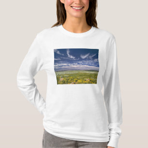 T-shirts EUA, Oregon, Steens Mountain. Primavera burgeons